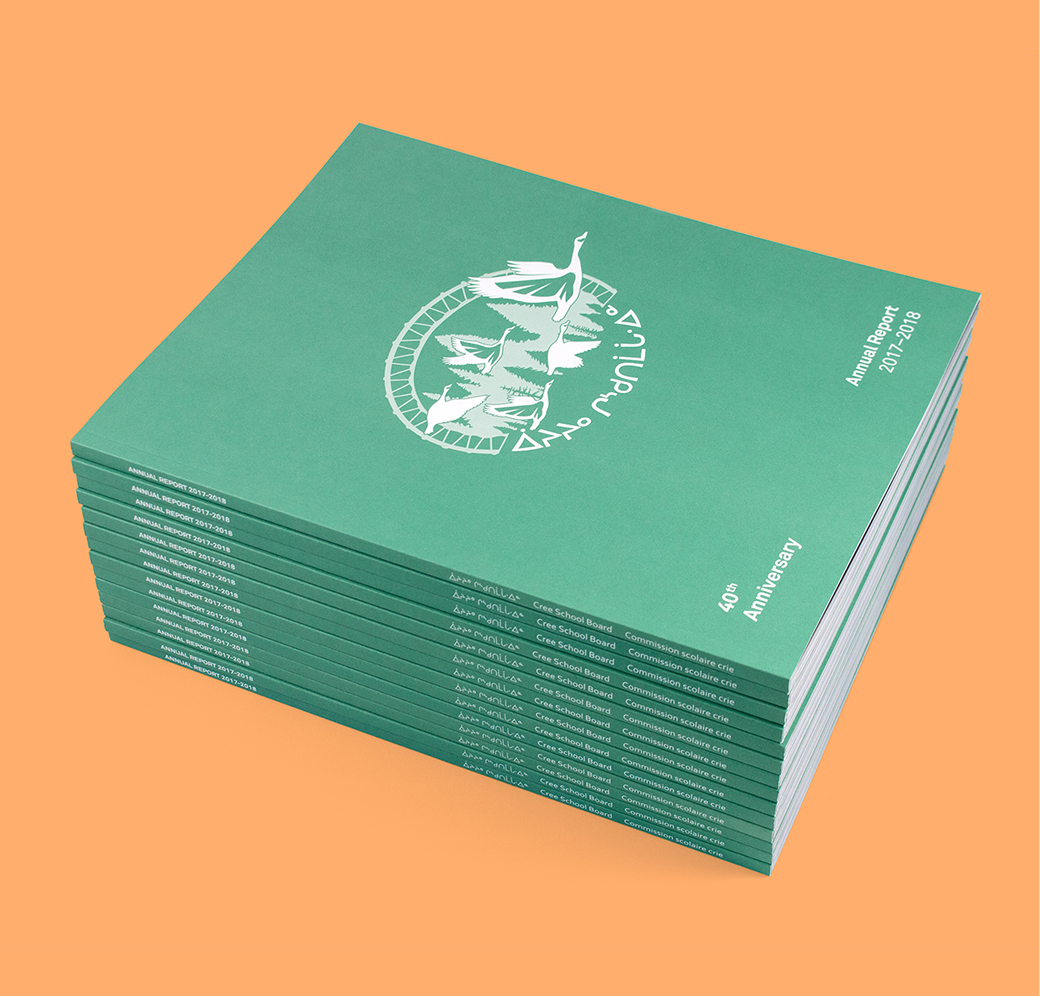 CSB_201718_Body-2 A stack of green annual reports sits on an orange background. The covers feature a white logo with birds and a bridge, and the text: