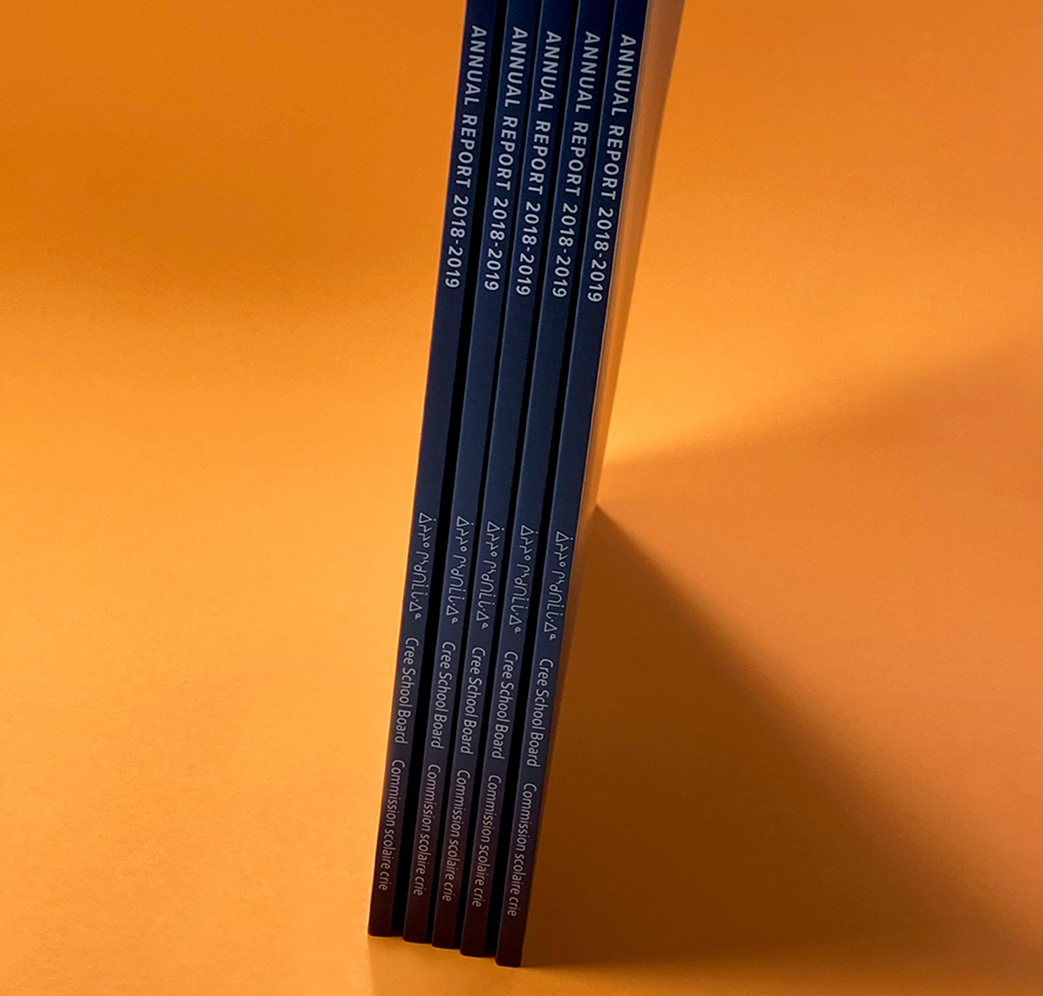 CSB_201819_Body-2 Five annual report booklets for 2018-2019 are stacked upright on a bright orange surface, with their spines facing outward and text visible.