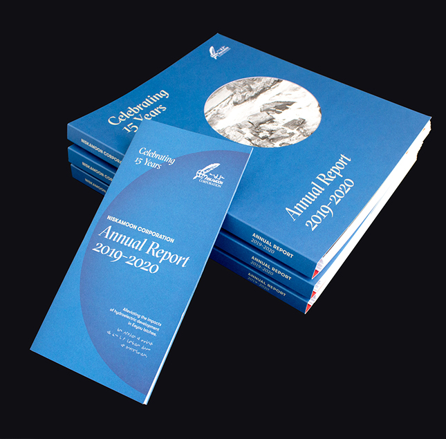 A stack of blue annual report booklets and a matching folded brochure, all labeled