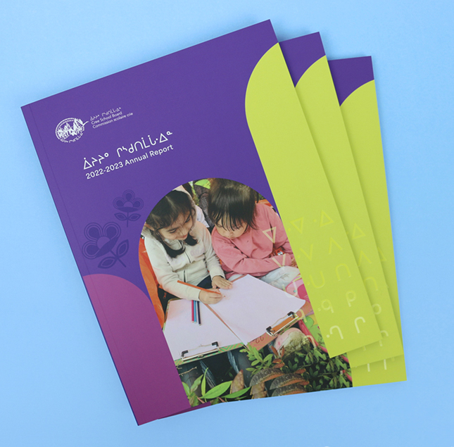 Three colorful annual report booklets are stacked on a light blue background. The top booklet features two children writing on paper outdoors, with purple and yellow design elements and white text.