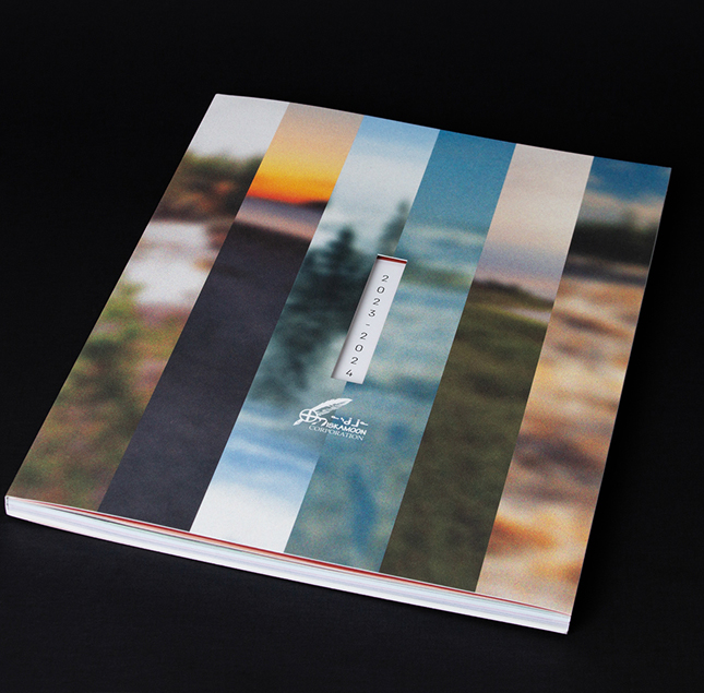 A book with a cover featuring vertical, blurred landscape stripes and the text