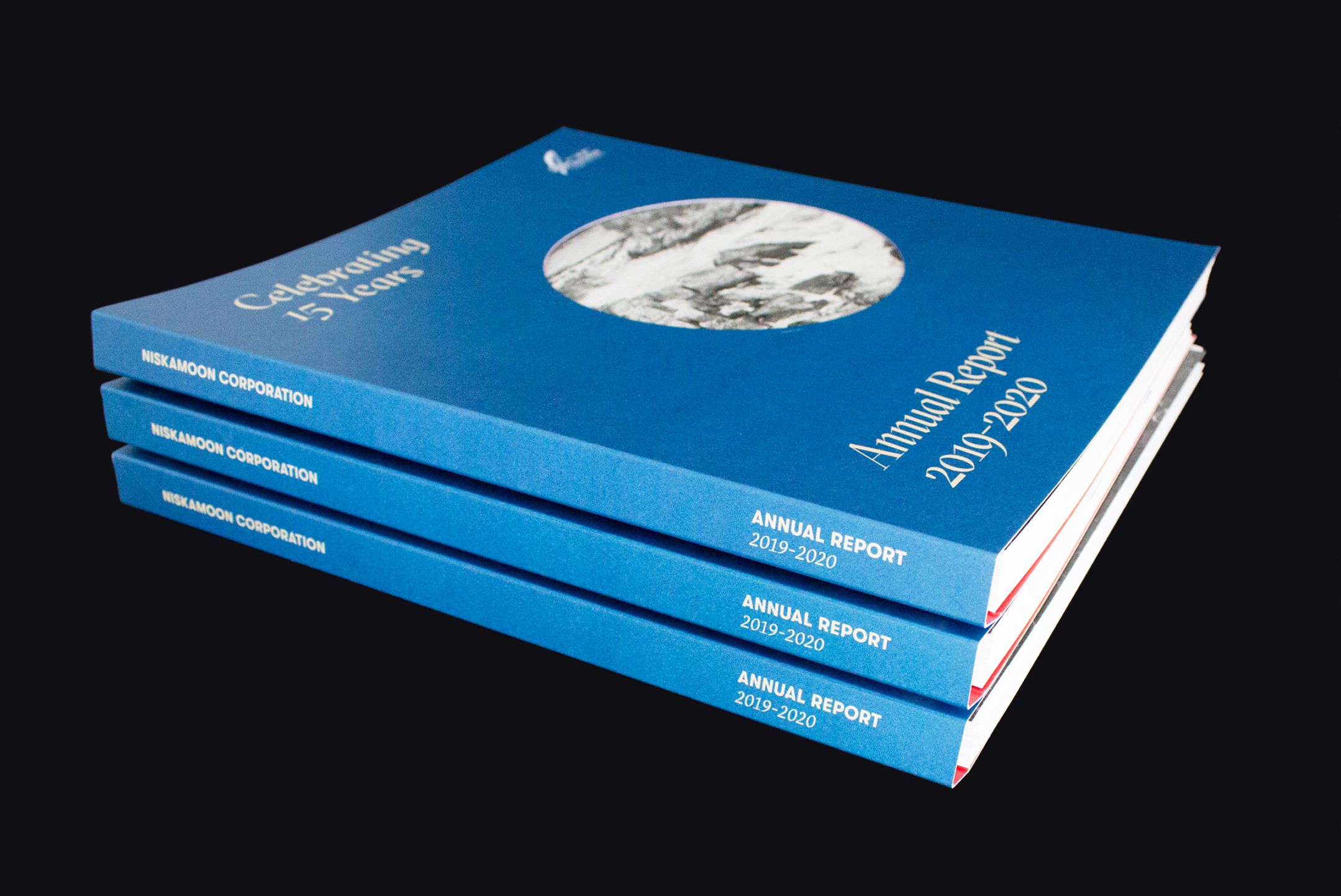A stack of three blue annual report booklets titled "Annual Report 2019-2020" with "Celebrating 15 Years" and a circular illustration on the cover, set against a black background.