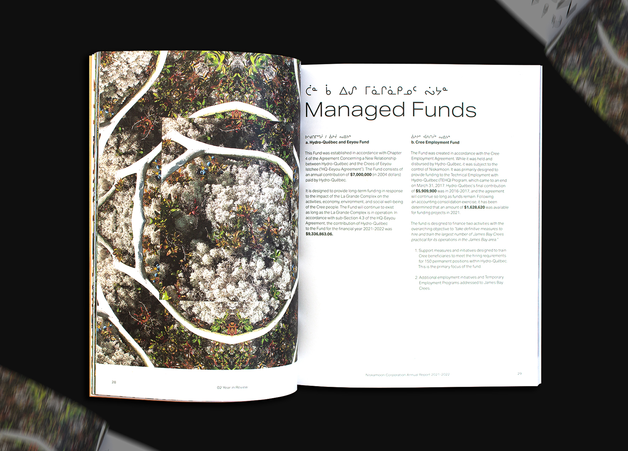 Niskamoon_202122-8 An open magazine displays a close-up aerial photo of trees on the left page and bilingual text about managed funds in English and another language on the right page. The magazine lies on a dark surface.