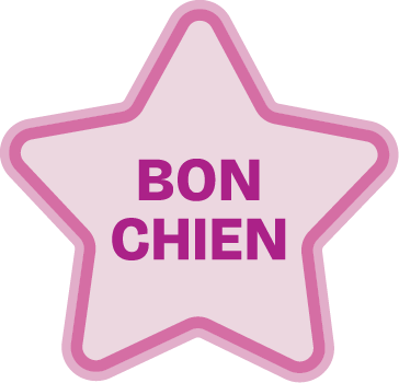 DIY_Website_StaffPortraits-Stickers-FR_GoodDog