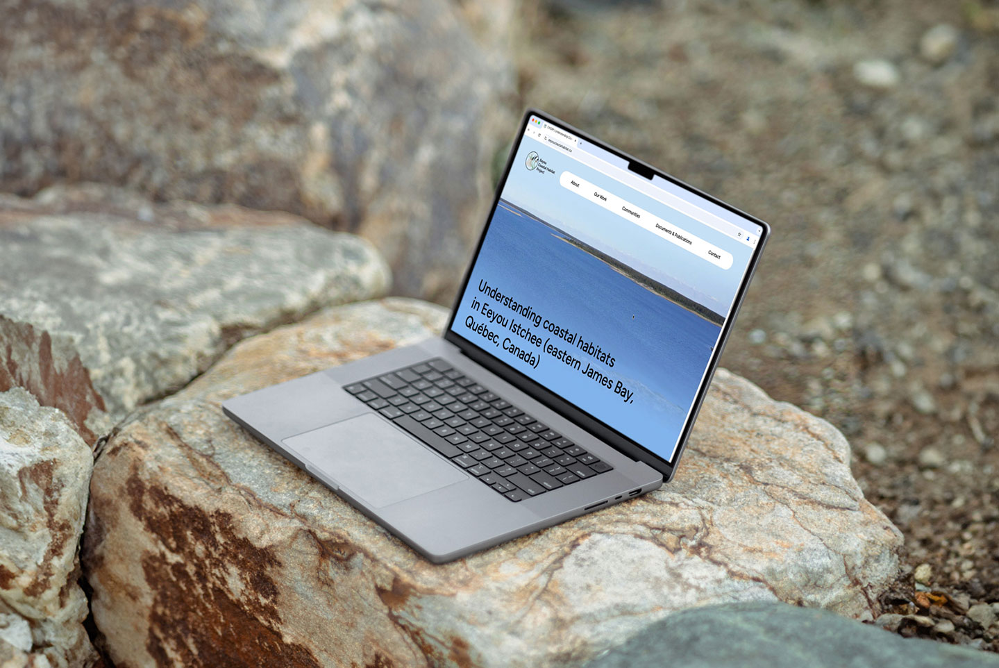 CHCRPWebsite-Header-web CHCRPWebsite-Header-web