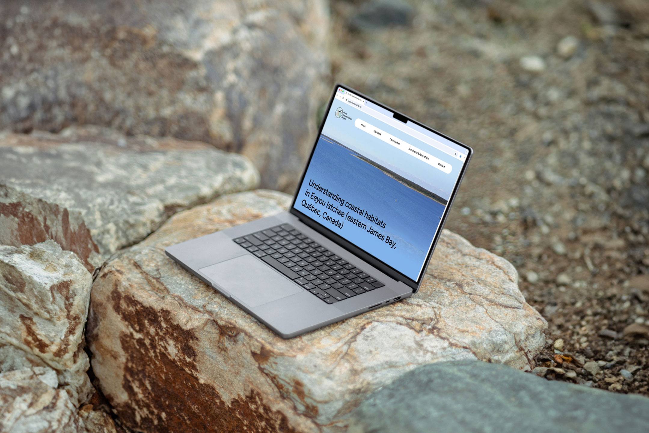 CHCRPWebsite-2159×1443 CHCRPWebsite-2159×1443