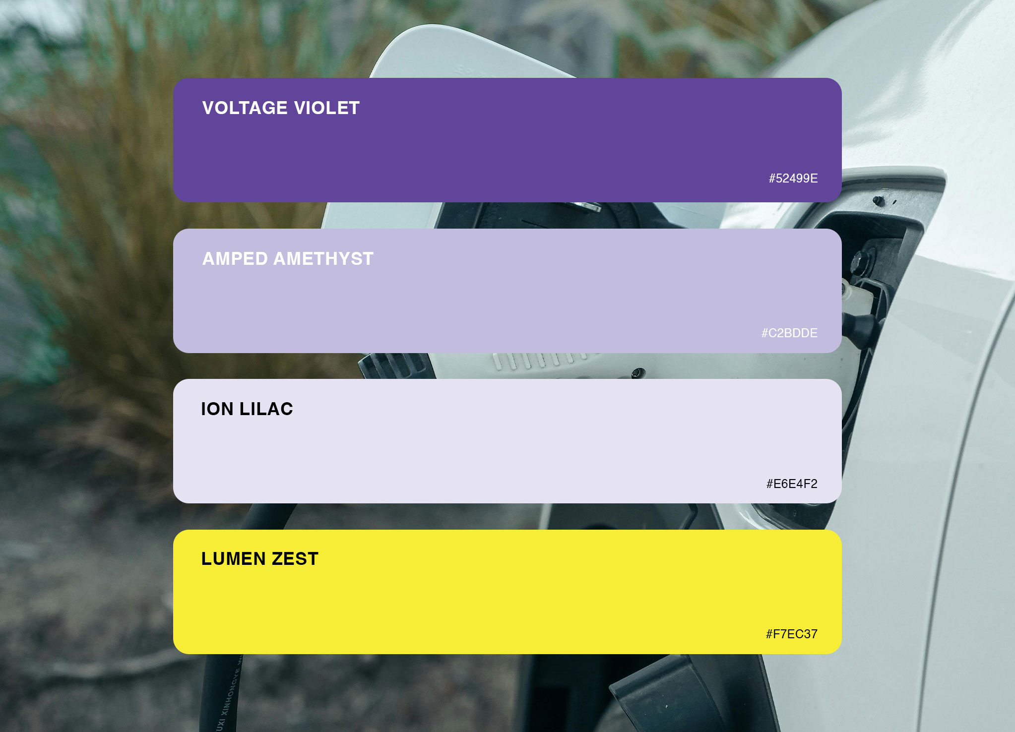 Teeka_BrandIdentity-2046×1476 Teeka_BrandIdentity-2046×1476